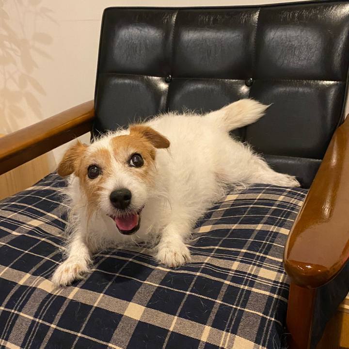 377de574 e591 40f1 87b3 3fd3177bb4c2 1725374135519