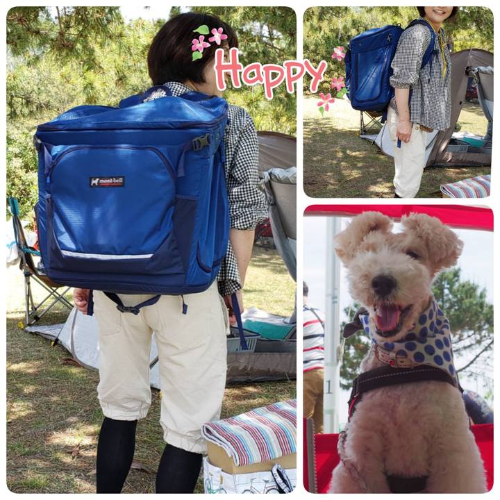 377e51c6 3e2c 446f a22f a6acdfb79a5c 1557740073290