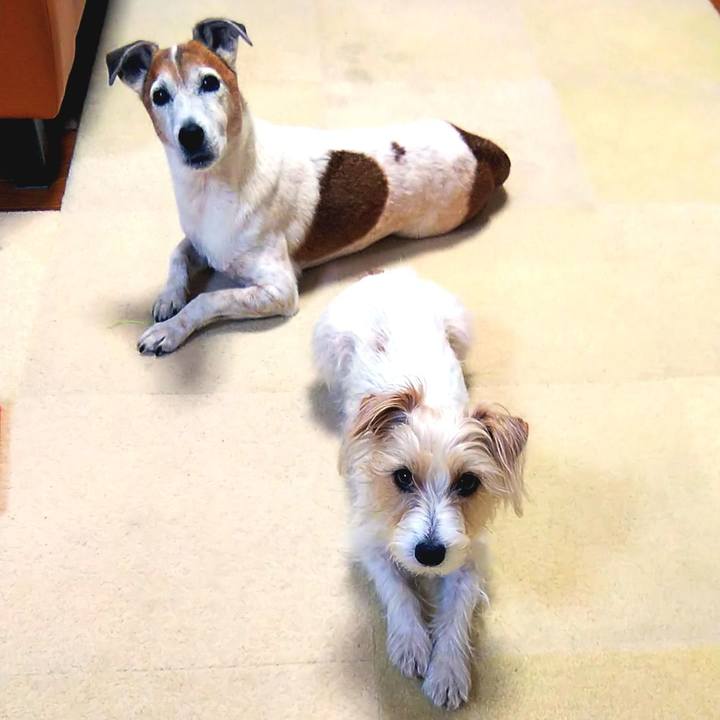 377eb445 3679 43c1 b87e aceebca4866f 1557355023323