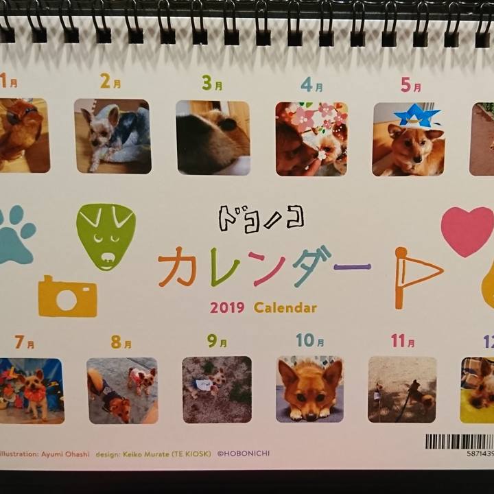 377f1394 c65a 4ba8 bca9 b8157ed59b22 1546166125263