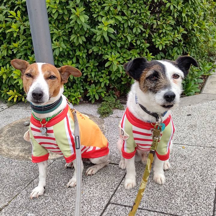 377f4f1b a473 42cf 94c1 7e1c748e8778 1712099632563