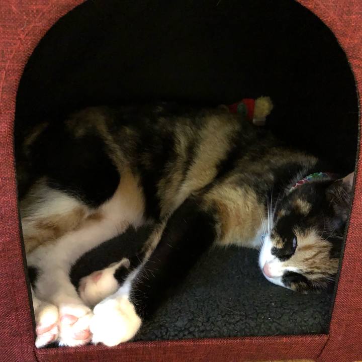 377fa6e3 6c53 4191 8c5c 05f141057873 1559200766571