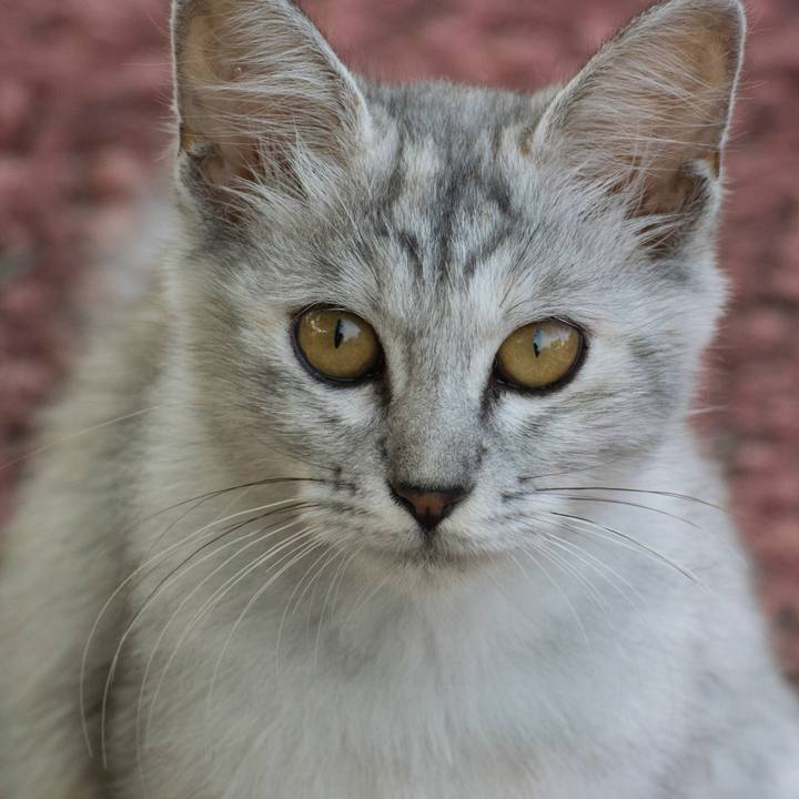 377fc314 2590 4f3e 8bf4 d4b9c92c6b50 1537317434826