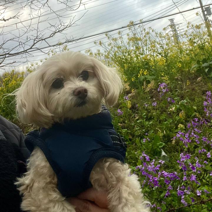 377fc3a1 339e 428d a06a caf36d521fb2 1772787851367