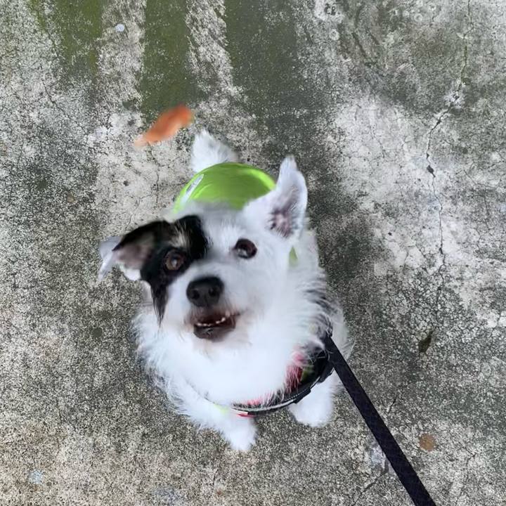 377fe613 1287 43cb 9581 be9bcf069d05 1720741047215