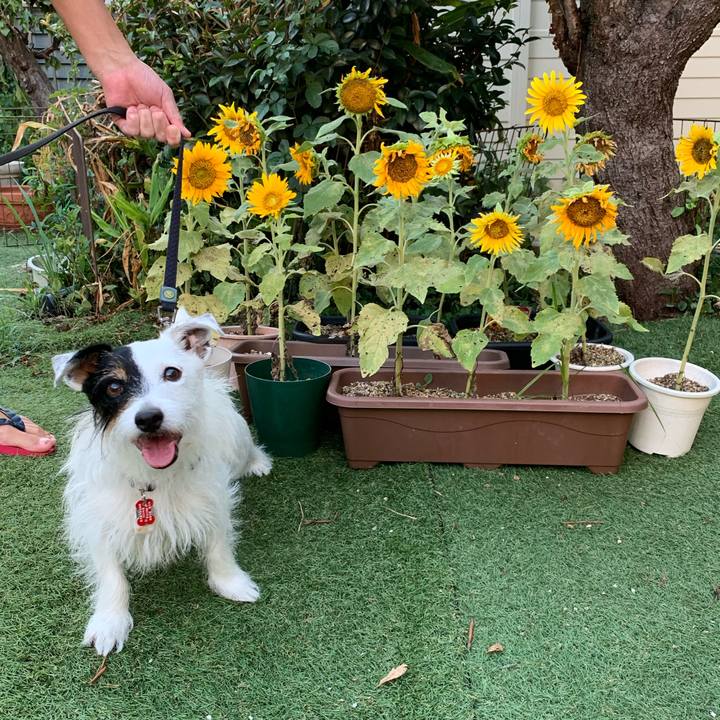 377ffb19 fb36 4ac0 9f6f e1b908283759 1691833456803