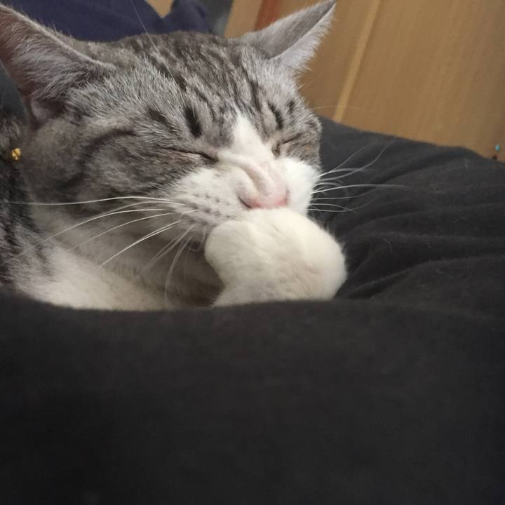 37808ddc 3cb9 48d0 b2e1 9399828219ae 1550795408638