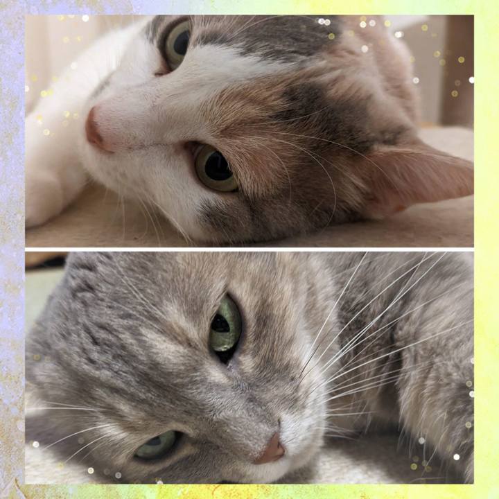 37809534 f7ee 4570 8c32 d0a473af4682 1691854543632