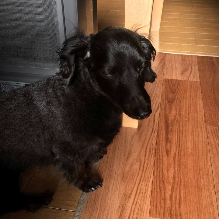 37809cfc b5e7 4fba bba2 7c07c4a46cbd 1514414457193