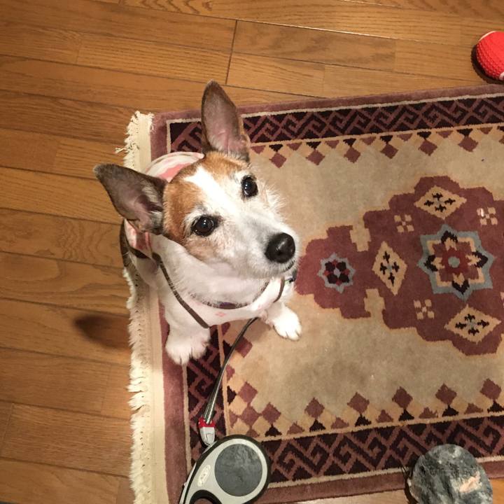 37809d36 69f6 4f1c 8219 28a428363cdd 1650497512770