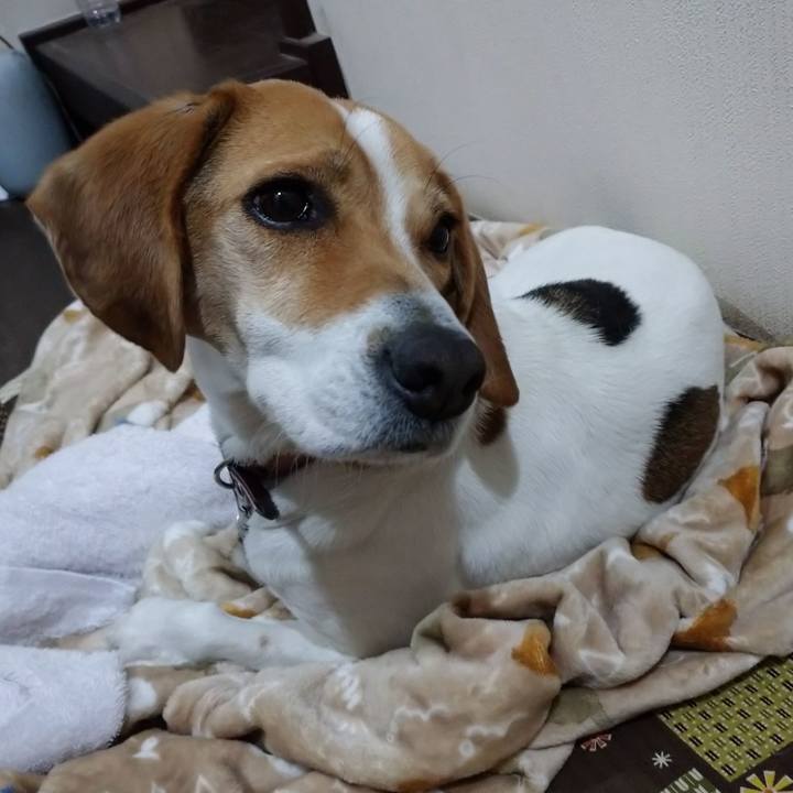 3780ce57 bee9 4503 bf89 581a2032affd 1582286406063