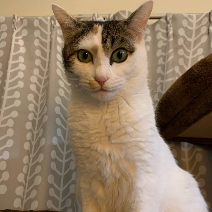 3780f45d 4178 4e3f be15 83d4a60390da 1676290620980