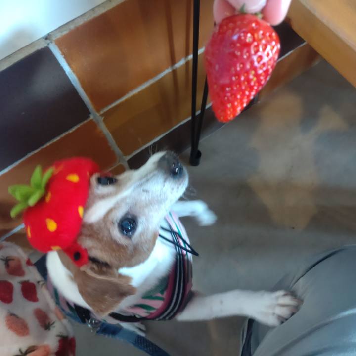 37811265 710c 42a5 ae12 4fcc7ab30a2e 1769917693603