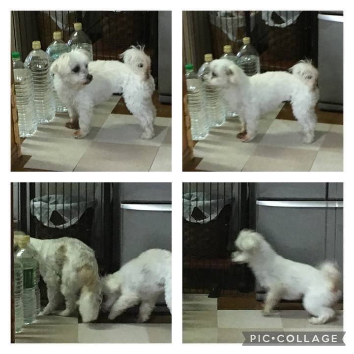 3781163b f02e 4e61 9682 2caa61d170b5 1613296777864