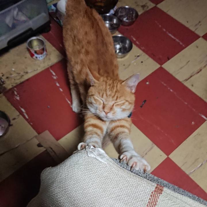 3781330b 4f98 4774 ae2d b25b1f38e63e 1564171085234