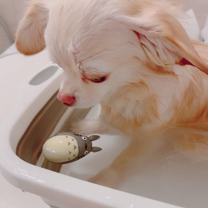 3781535d ecaa 4f44 adcd a2afc81f34d9 1702562038037