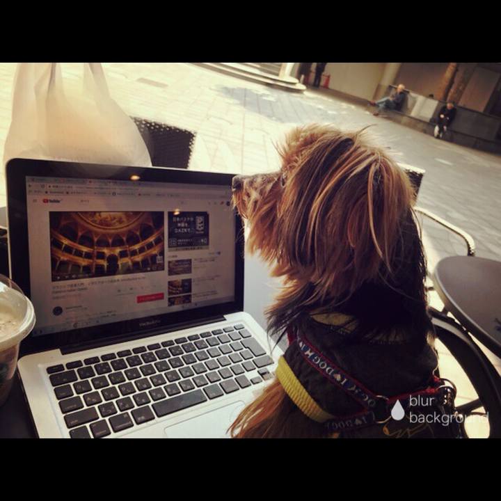 378161b0 4d04 4c5d 94f0 13c6c465b0c8 1520990270637