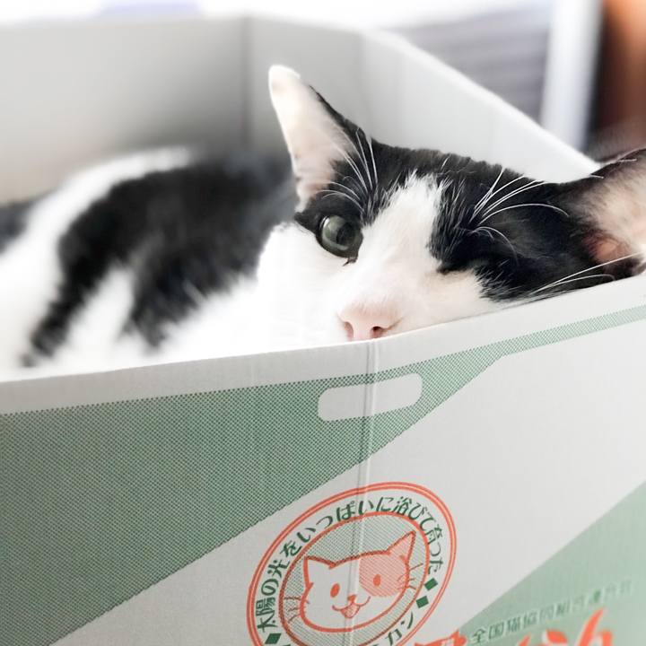 3781675a 0d51 4887 9992 6a824216c2eb 1530844656677