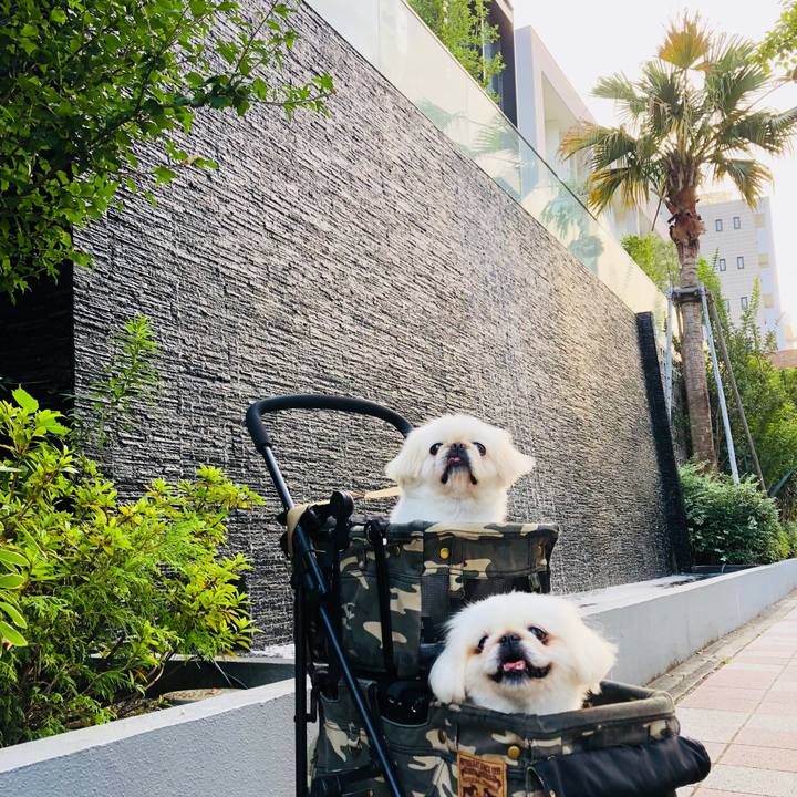 37816ff5 7091 41b2 89a9 d991f92367b5 1596665224374