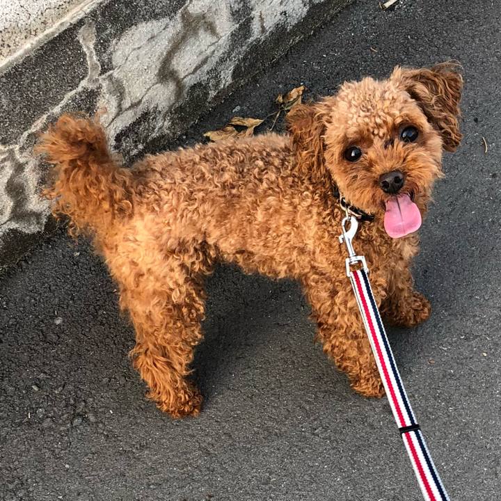 3781d2fa 1f0a 4d5c a241 4dac1a965e7d 1532121694543