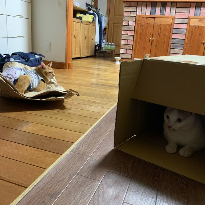 3781ffe8 3f2b 465b 80e4 2a3120dc628e 1632925571442