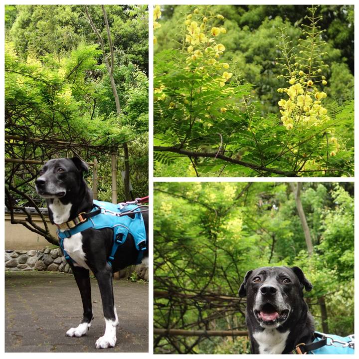 37822f38 db95 45a5 9a8d 200945fd7bd0 1714177859510