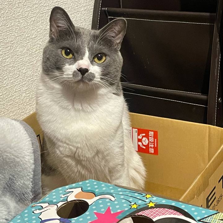 37823e00 3526 423f a6f4 a536c259d476 1631361294563