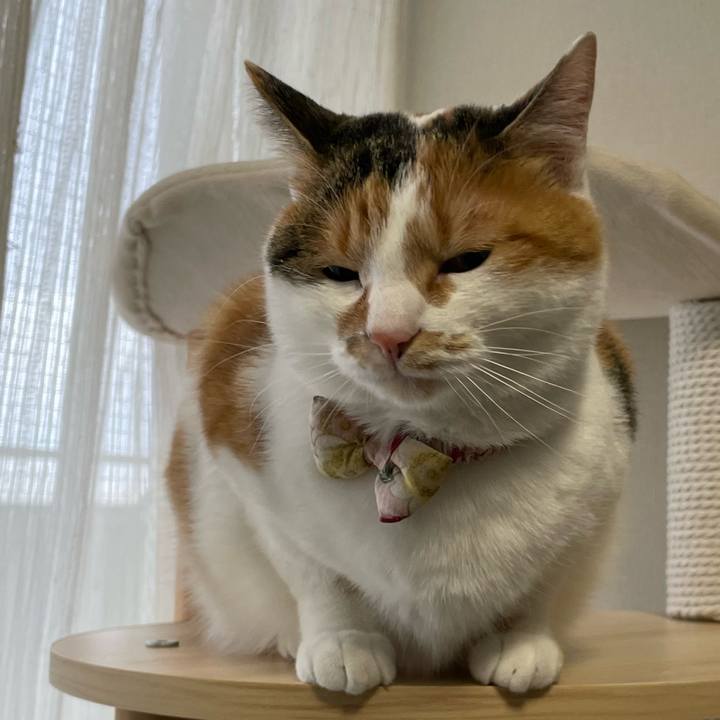 378276bc 8c4e 42c0 b073 017892df35c0 1641425892996