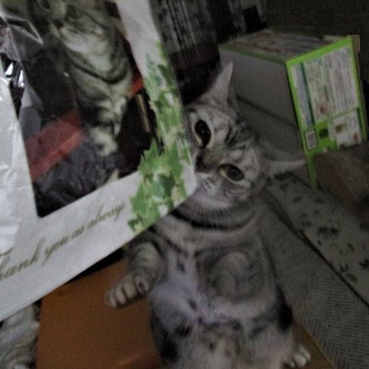 37827911 2583 4273 924a f5046ea0326e 1679802335409