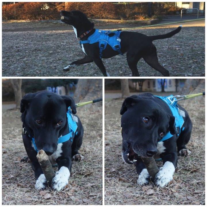 3782b86e ff5c 4b29 b9a3 61760d2ced7e 1608939756275