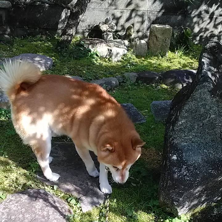 3782edea 1ae9 44d6 8d9f 250e4bf863bb 1652595493659