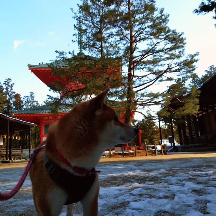 3782f46c cf14 4cb6 bc72 4d4d2e39c738 1767090374104