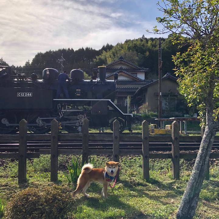 3782faba 8bb5 4b5b ae83 0aa88378b39e 1556966953582