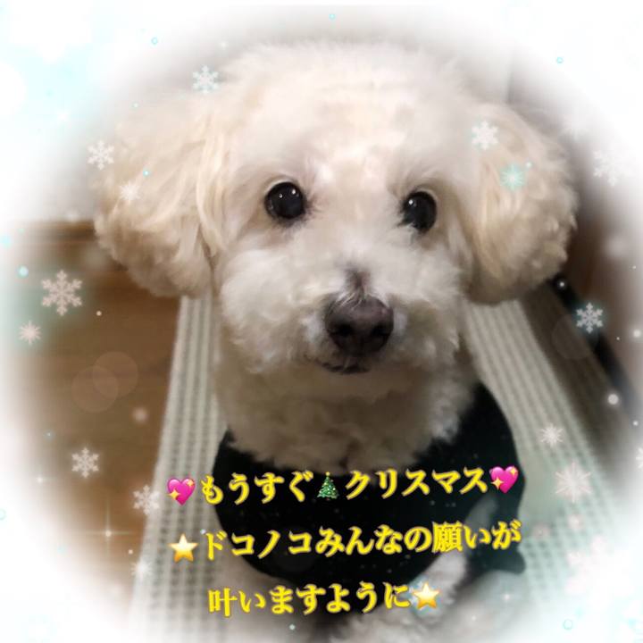 378302f0 db12 4400 baa1 539d2a926c11 1544966684246