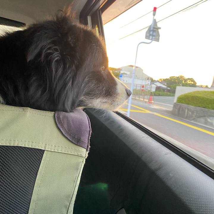 37833524 708b 4f66 b8a7 bd4d92fe73aa 1662591805758