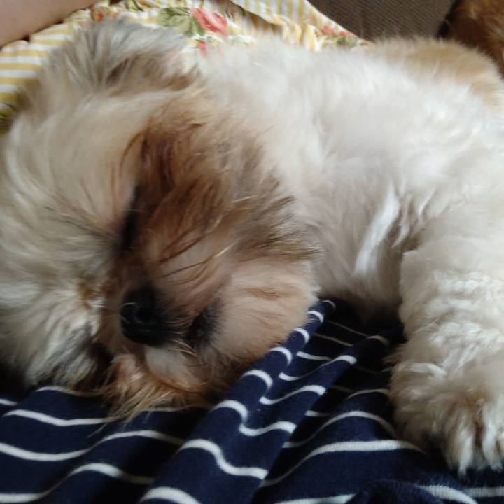 37833838 d8dd 4160 85d8 ba500d5d8017 1600989826772