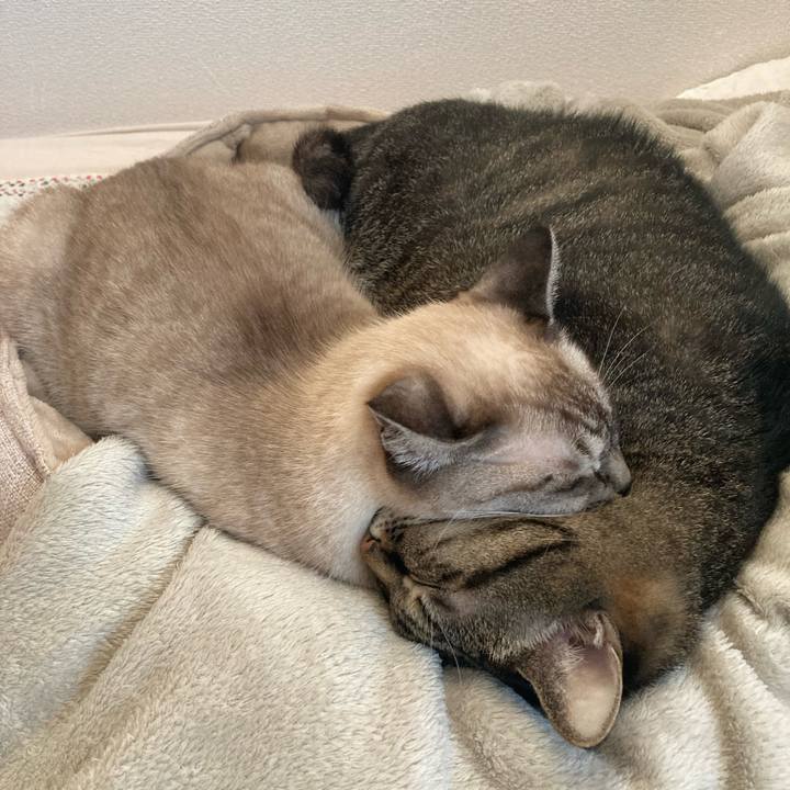 37834597 b9c5 4327 ad66 10c1548e8729 1761866384504