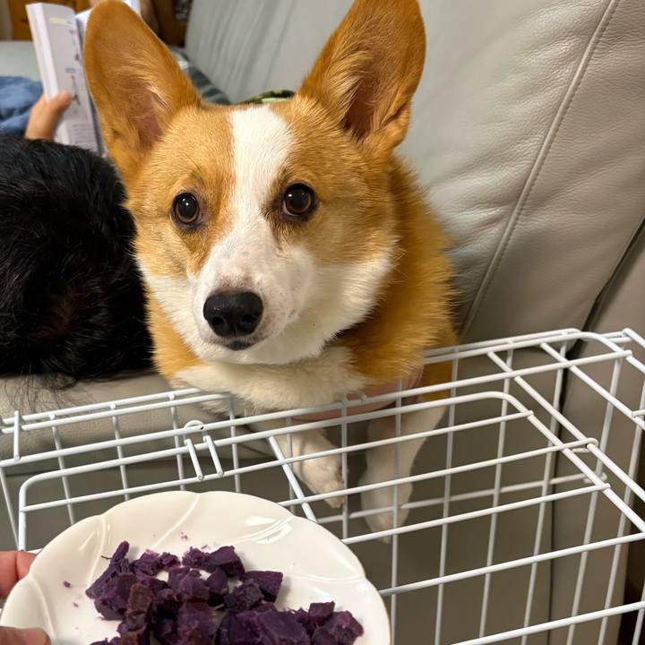 37835b4c 6508 40c1 b382 eff66ab6c221 1771080949473