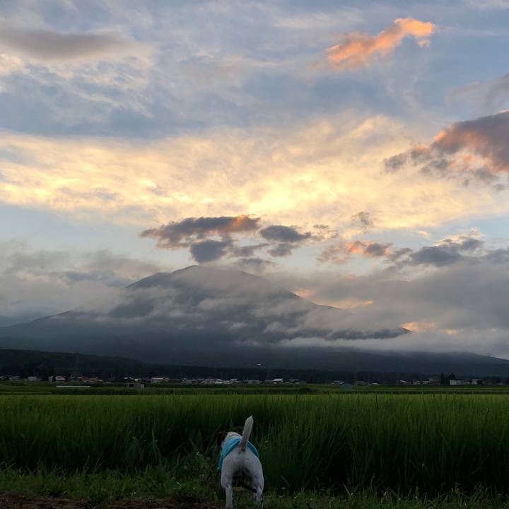 37838f3b 9622 4f04 ad17 9c7bab3e9672 1565954522954