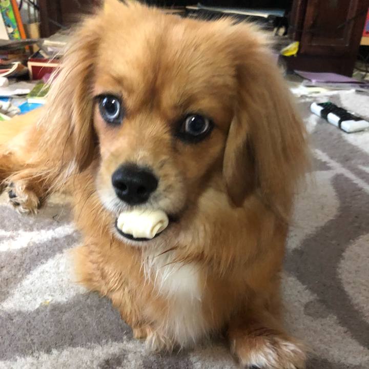 378395b3 05d6 4343 b3e7 f7527347ff3e 1528319778640