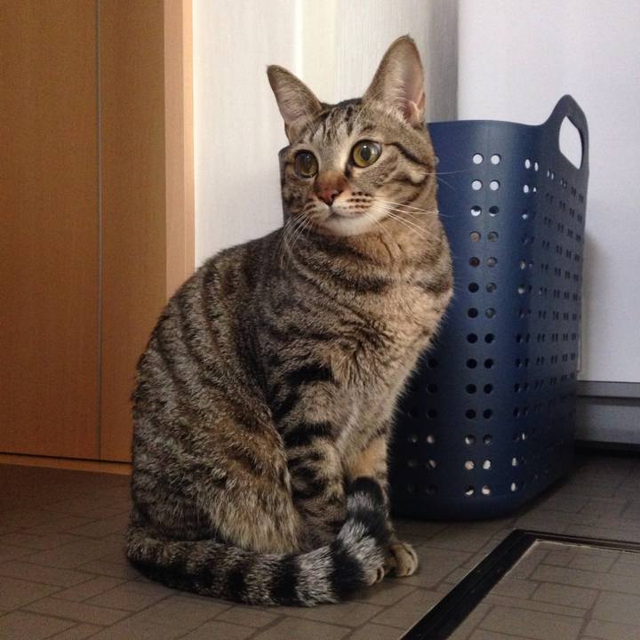 3783da9b 66cd 4dcc 9557 107ea210752f 1512277238567