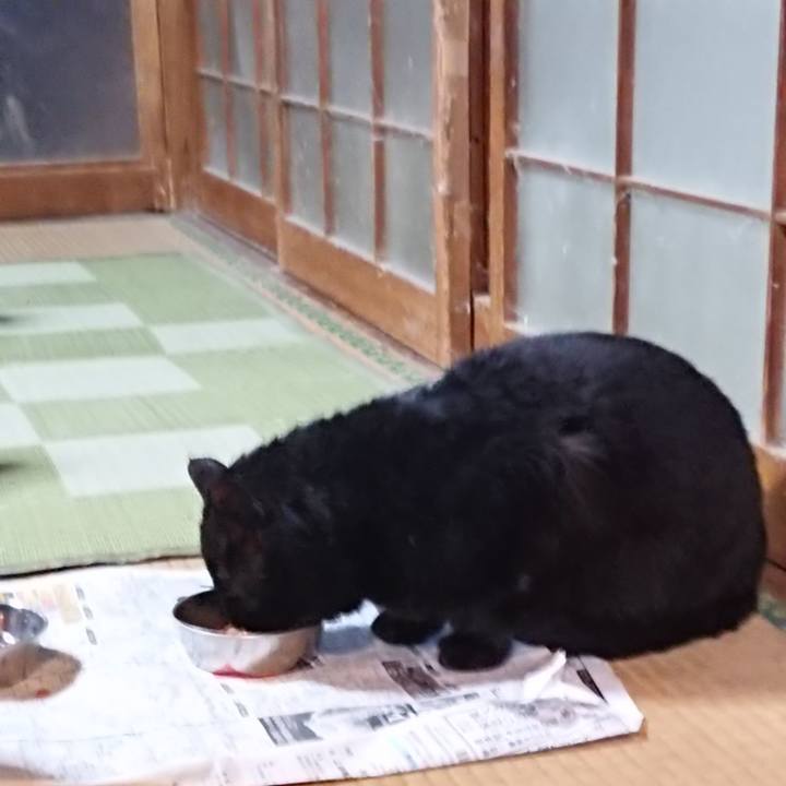 3783e1b2 a421 455d a394 e27db0a5aec8 1615466662660