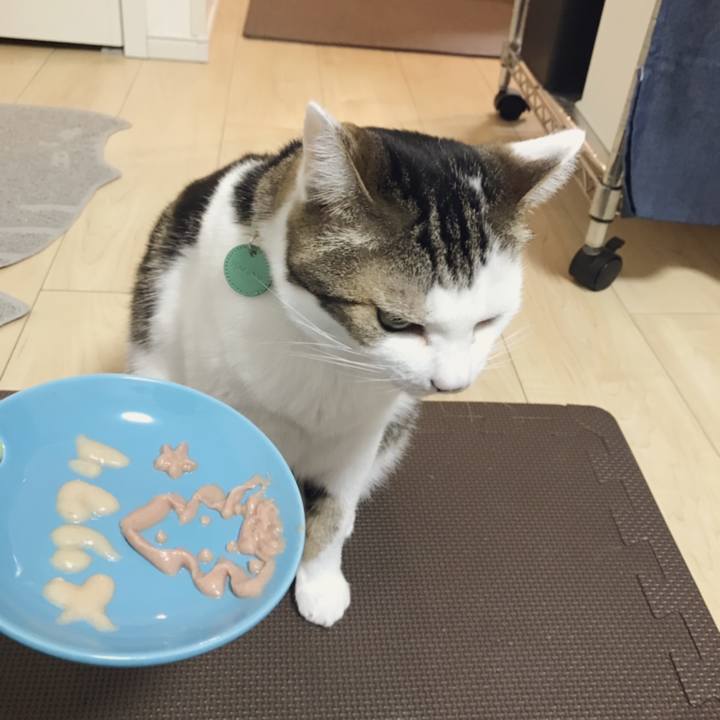 3783f714 4412 4e1d a6db 07751d27cb63 1545712284844