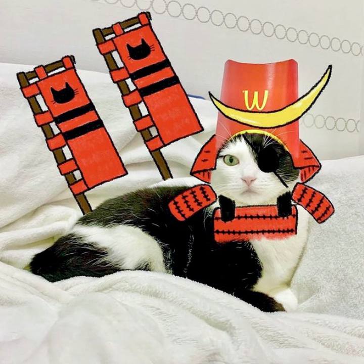 37844af7 2577 43c1 993c c3982ff0f116 1615986262800