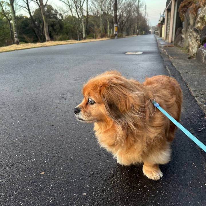 378464bc 7e5d 4572 96c6 b2a7f48e5185 1741727622382