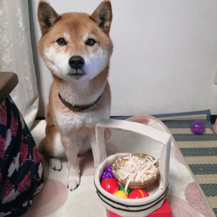 378465ea 7356 4902 8067 9708053d4322 1616320554773