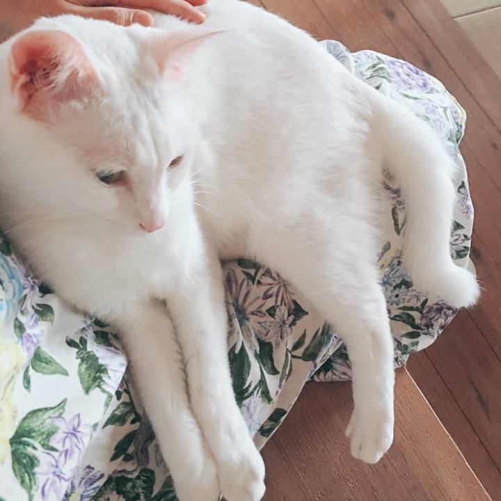 3784b53c ebff 40fe 968f 0fd60fc1beda 1525223399513