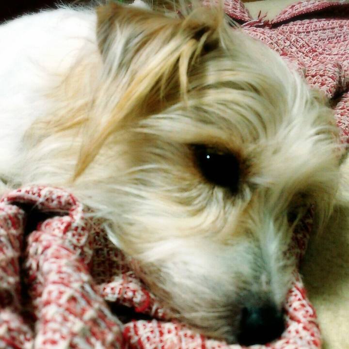 3784d0ca 405d 4340 a7f3 d726deb12496 1519474346669