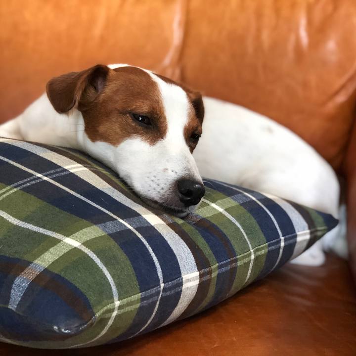 37850dc7 00f2 4302 b468 415e1b75aa9b 1595835155801