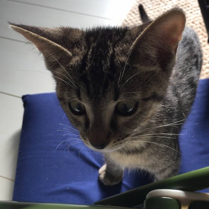 3785637d 593a 41f3 a273 6e2fa62eb0da 1568619905860